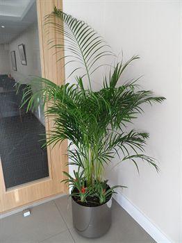 Guest house Rooms Inn Newcastle upon Tyne